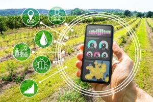 Agricultura Inteligente: Innovación Agrícola con Software de Precisión