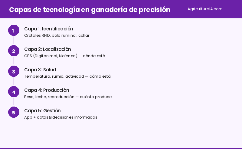 Infografía: capas de tecnología en ganadería de precisión — AgriculturaIA.com