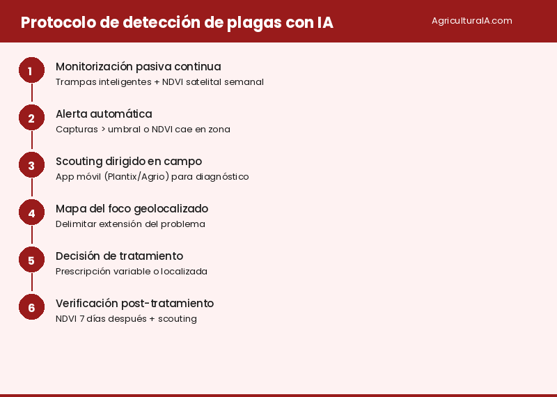 Infografía: protocolo de detección de plagas con IA — AgriculturaIA.com