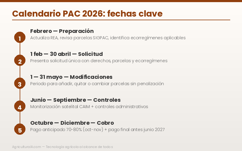 Infografía: calendario PAC 2026 con fechas clave