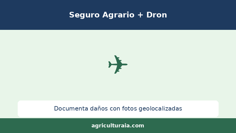 Dron para Documentar Daños y Reclamar el Seguro Agrario 2026